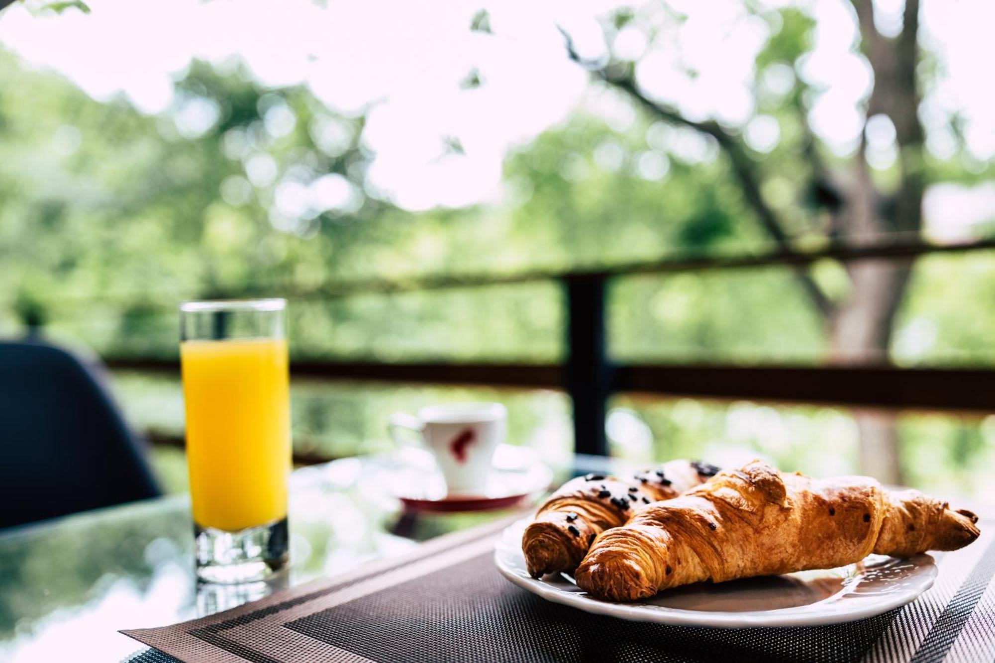Mer Guest House B&B 布拉索夫 外观 照片