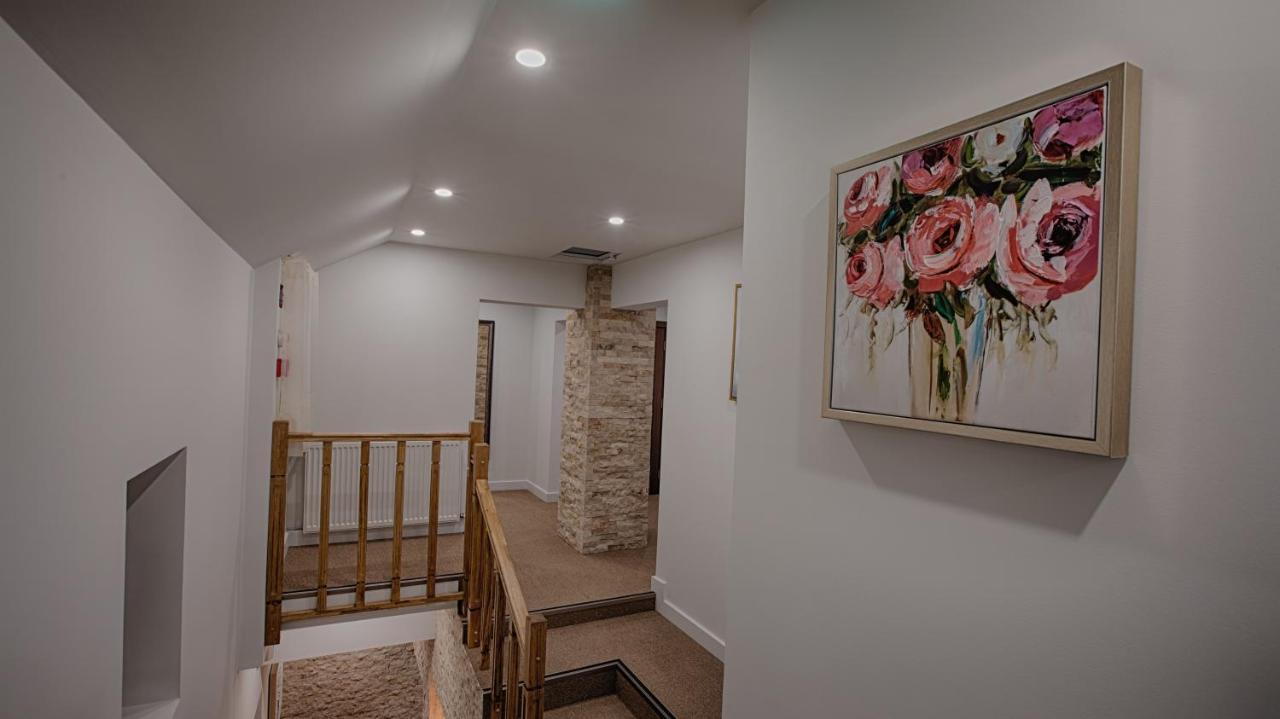 Mer Guest House B&B 布拉索夫 外观 照片