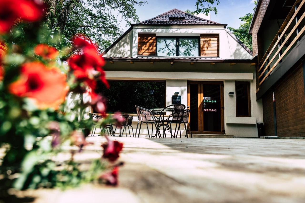 Mer Guest House B&B 布拉索夫 外观 照片